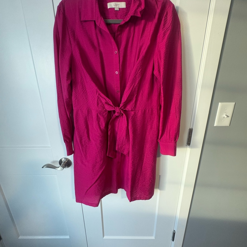LOFT Fuchsia Dress